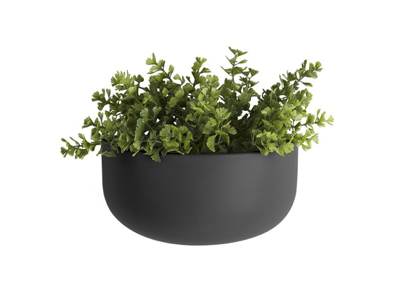 Wide Oval Ceramic Wall Planter - Choice of Colours