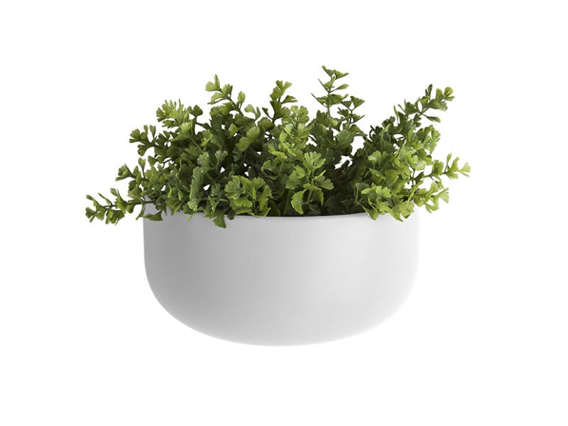 Wide Oval Ceramic Wall Planter - Choice of Colours